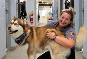 Animal Control Officer Soper Animal Adventures 2024