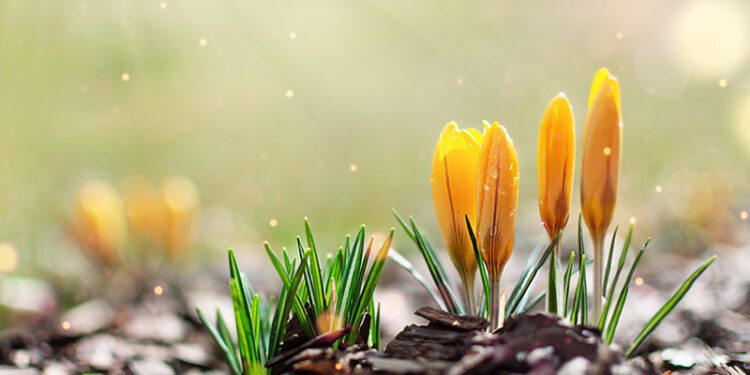 Currents Feb/Mar 2024