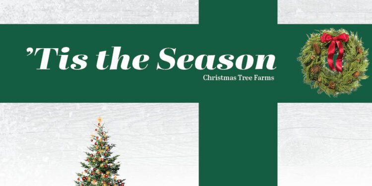LIST THIS: Christmas Tree Farms