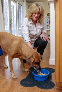 Dog's Chow