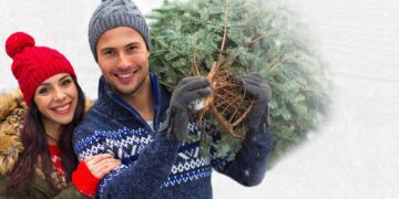 Christmas Tree, O Christmas Tree