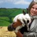 Humane Society Serves its Furry Friends During Coronavirus