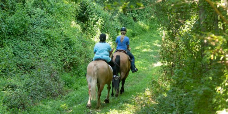 Unwind at Carroll Parks