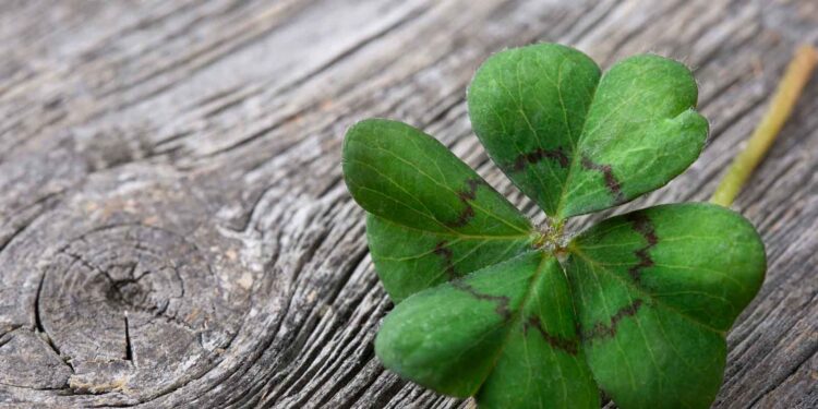 Carroll’s Irish Roots