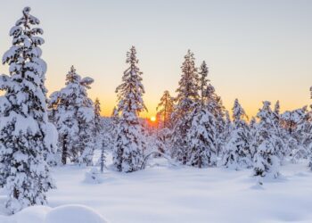 Currents Dec/Jan 2024