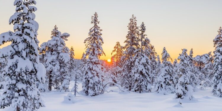 Currents Dec/Jan 2024