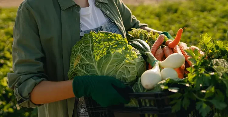 Carroll County Farmers Markets 2025