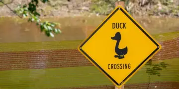 Rubber Duck Derby 2025