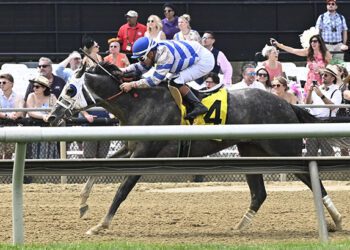 From Westminster, to the Winner’s Circle at Preakness