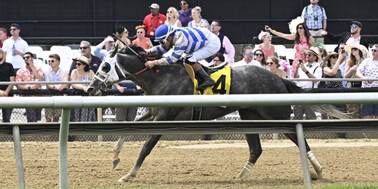 From Westminster, to the Winner’s Circle at Preakness