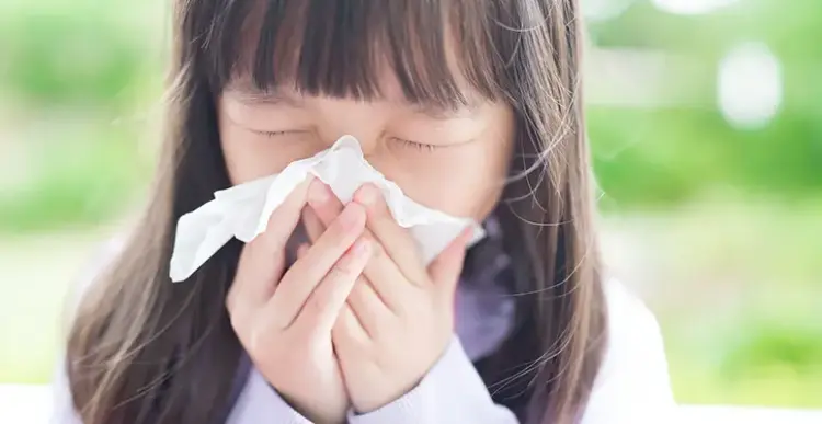 Carroll County Health Department Shares Flu Vaccination Resources and Clinic Schedule for Fall 2025