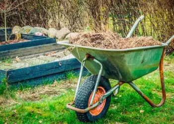 Hampstead Community Garden Hosts First Annual “Turn Down” Event