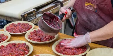 Baking a Holiday Tradition: Thanksgiving Pies