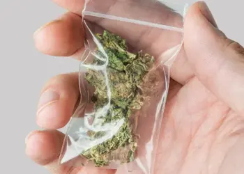 Carroll County Schedules Public Hearing on Cannabis-Funded Community Programs