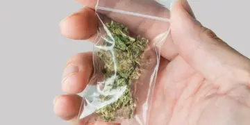 Carroll County Schedules Public Hearing on Cannabis-Funded Community Programs