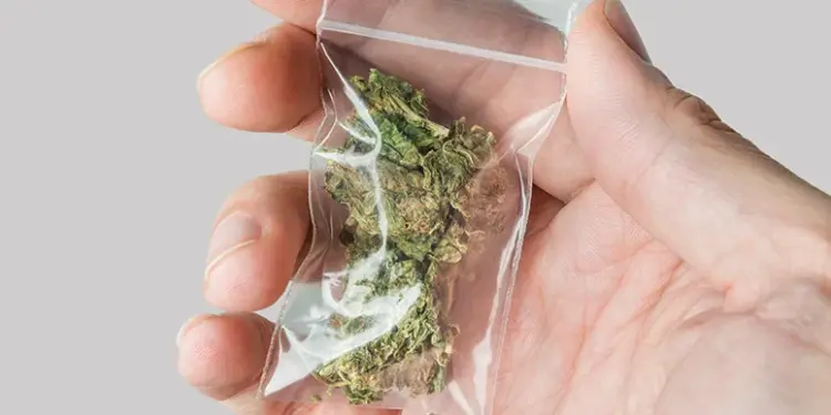 Carroll County Schedules Public Hearing on Cannabis-Funded Community Programs