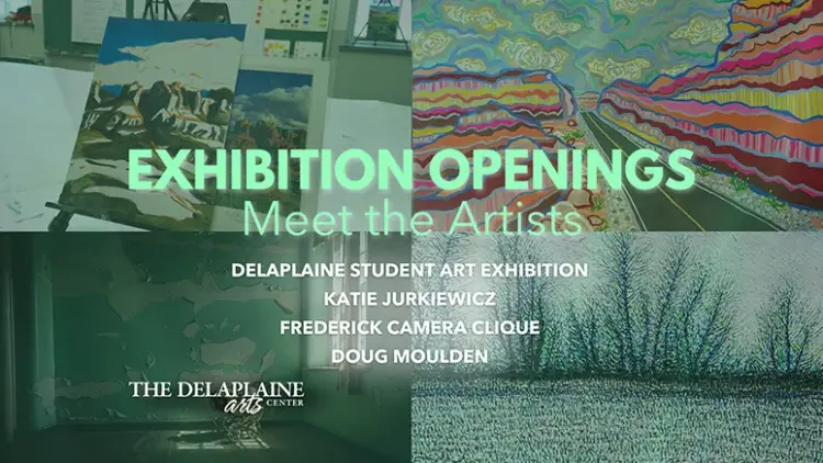 The Delaplaine Arts Exhibition Openings: Group Shows and Solo Exhibition Artists