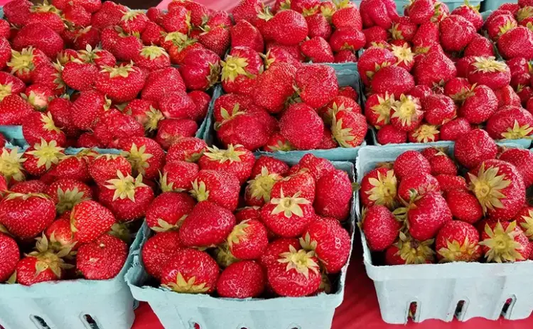 Strawberry Festival 2026