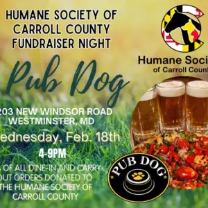 pub dog event