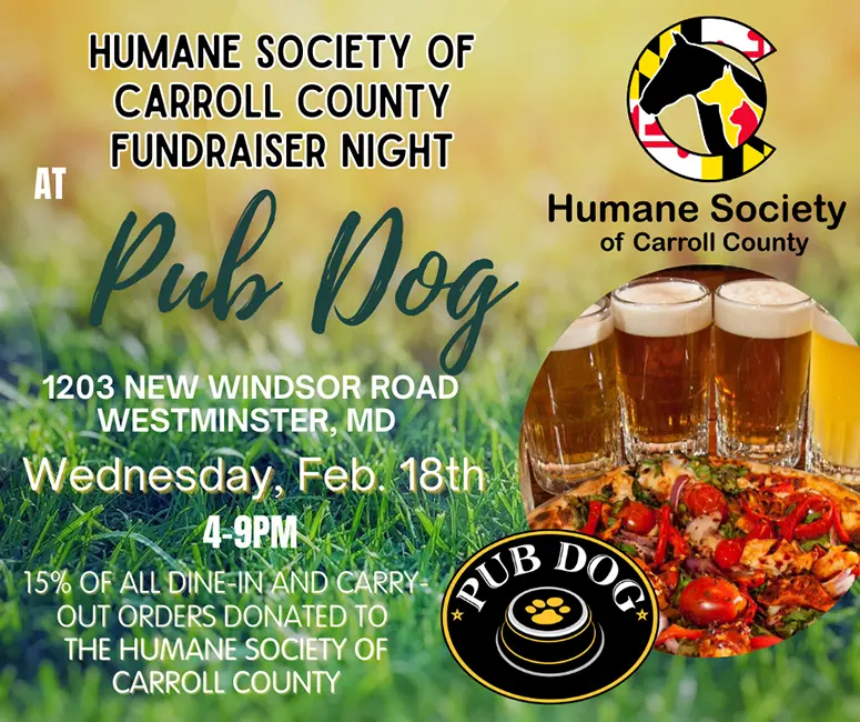 pub dog event