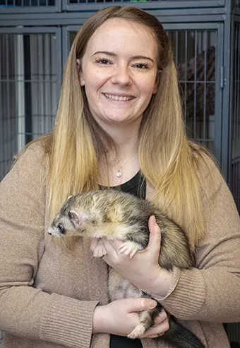 Noelle Johnson Dovahkiin - Carroll News | Carroll Publications | Carroll County, MD Noelle Johnsson has two ferrets, Mabel and Gwin, who are spunky and full of play. Noelle also has three axolotls.