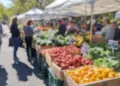 Local Farmers Markets in Carroll County