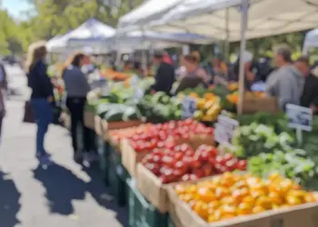 Local Farmers Markets in Carroll County